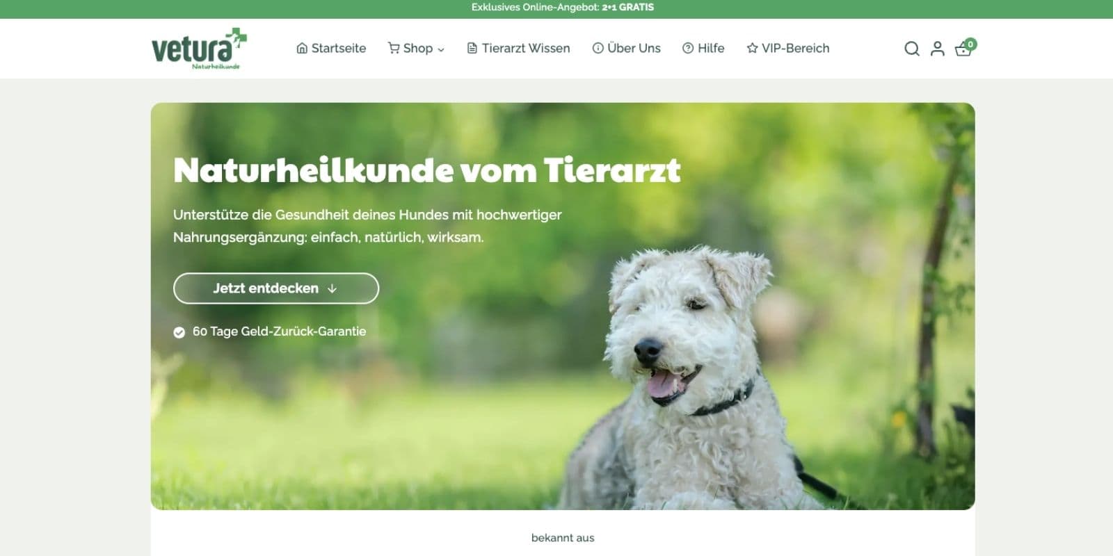Webseite von Vetura